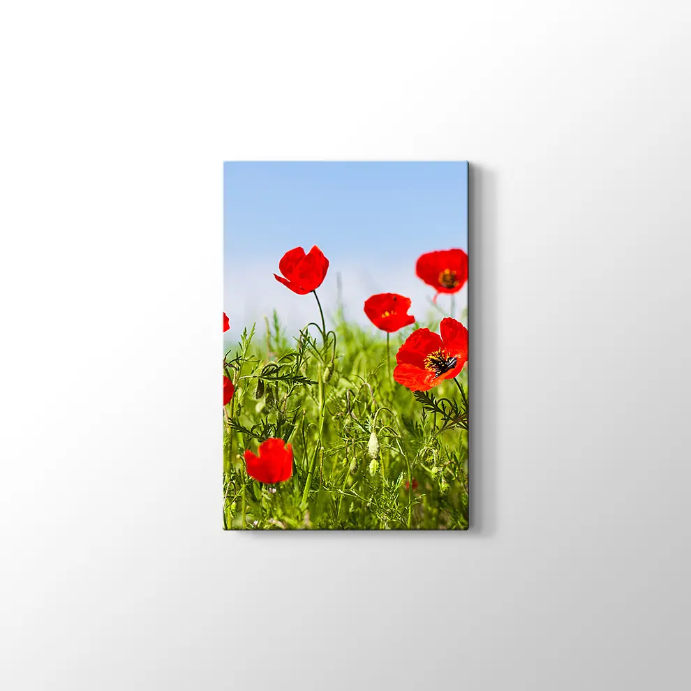 Gelincikler Kanvas Tablo