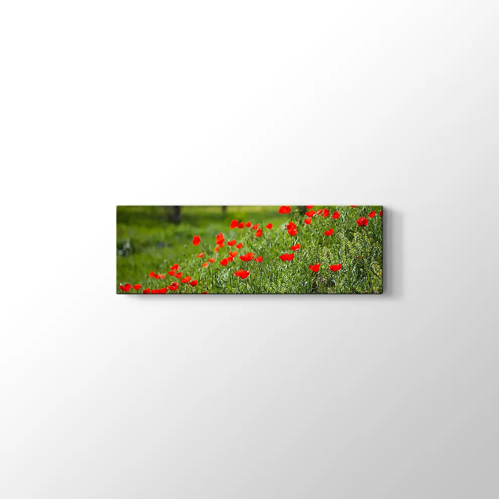 Gelincik Çiçekleri Kanvas Tablo