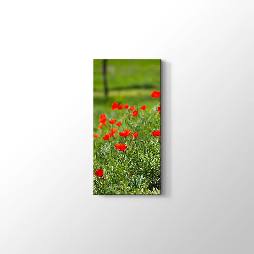 Gelincik Çiçekleri Kanvas Tablo