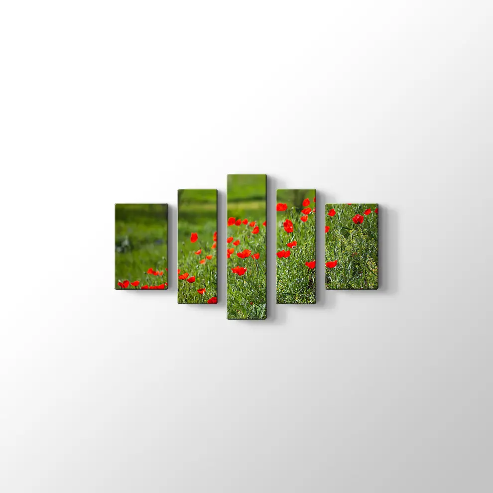 Gelincik Çiçekleri Kanvas Tablo