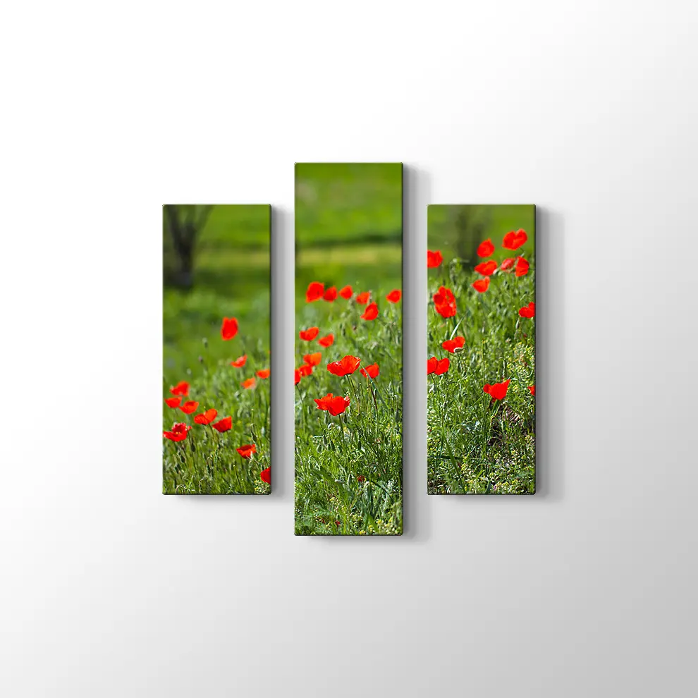 Gelincik Çiçekleri Kanvas Tablo