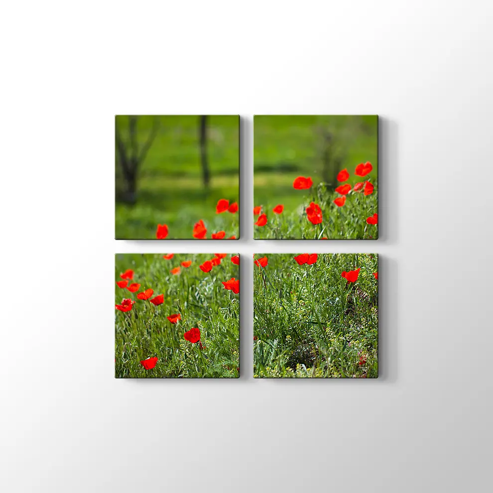 Gelincik Çiçekleri Kanvas Tablo