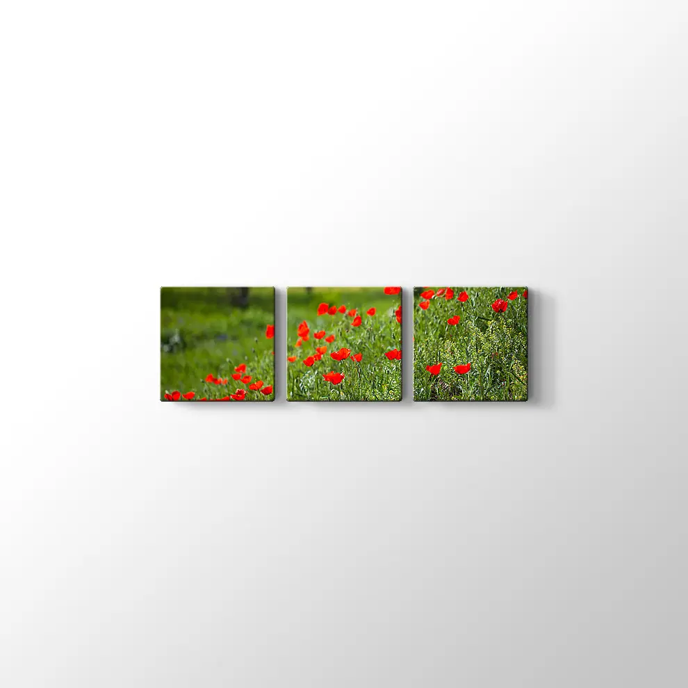 Gelincik Çiçekleri Kanvas Tablo