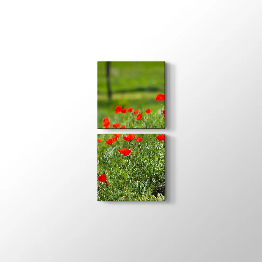 Gelincik Çiçekleri Kanvas Tablo