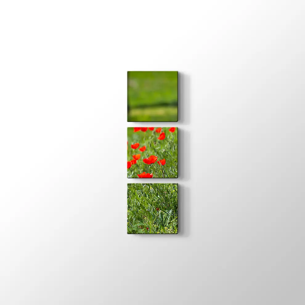 Gelincik Çiçekleri Kanvas Tablo