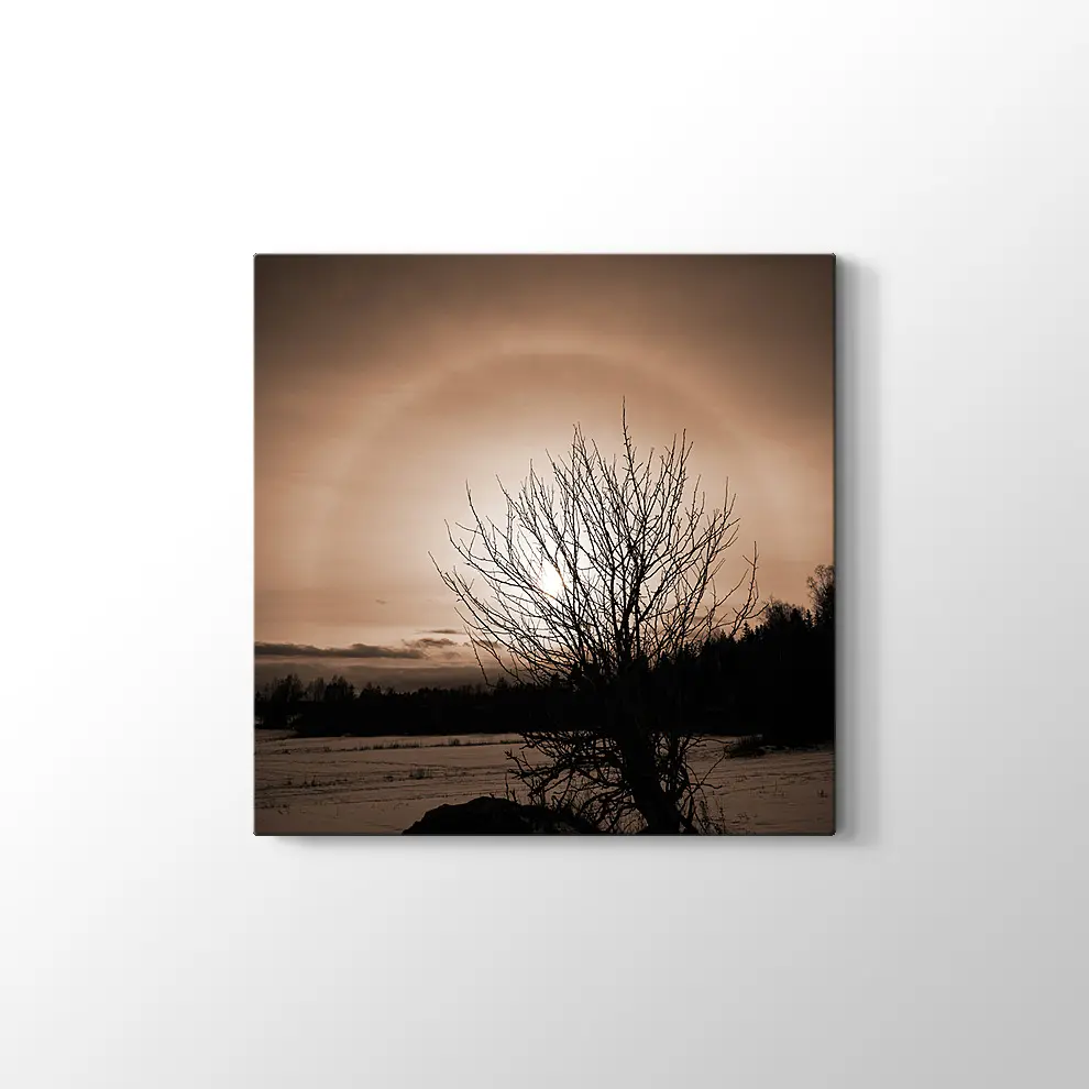 Finlandiya'da Kış Tablosu