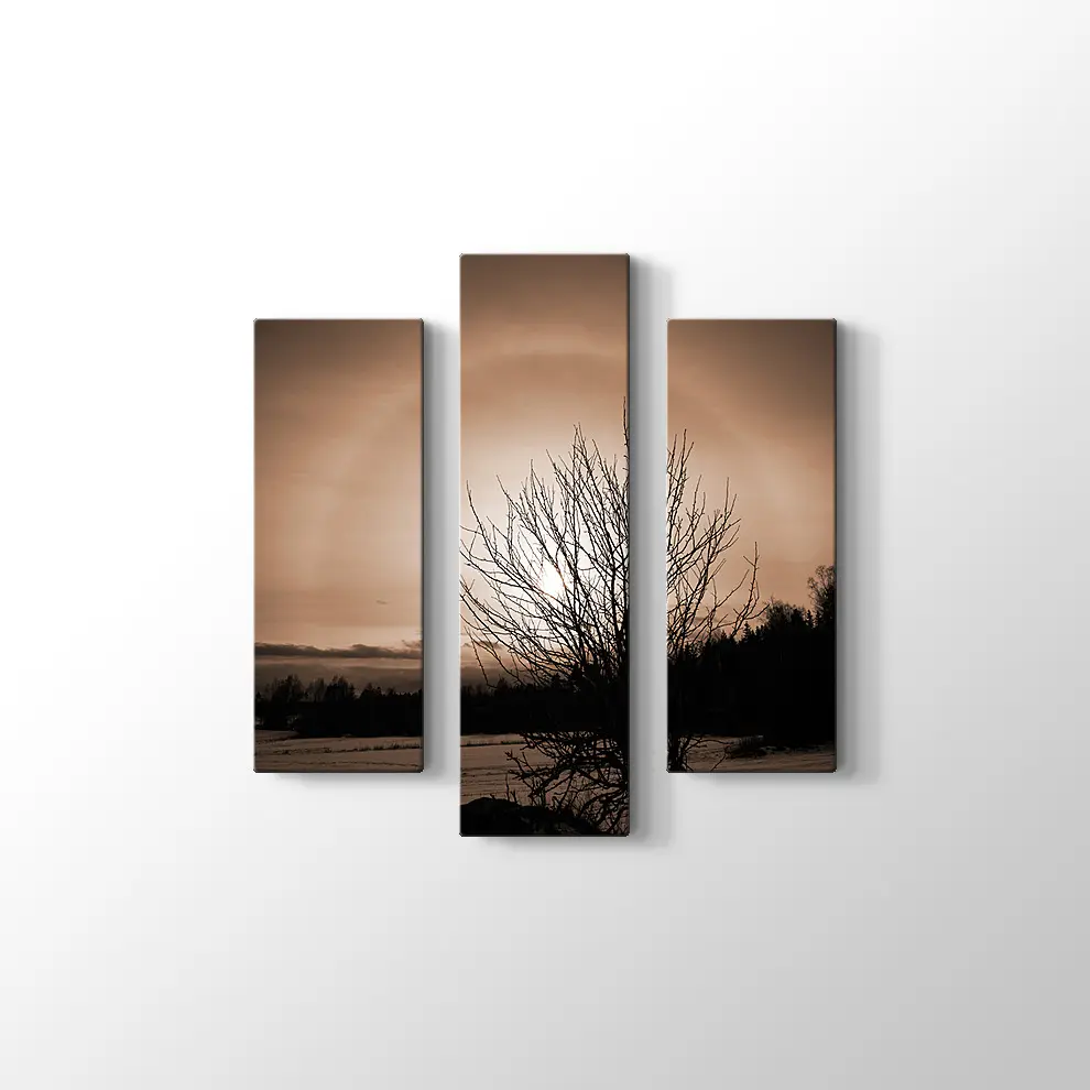 Finlandiya'da Kış Tablosu