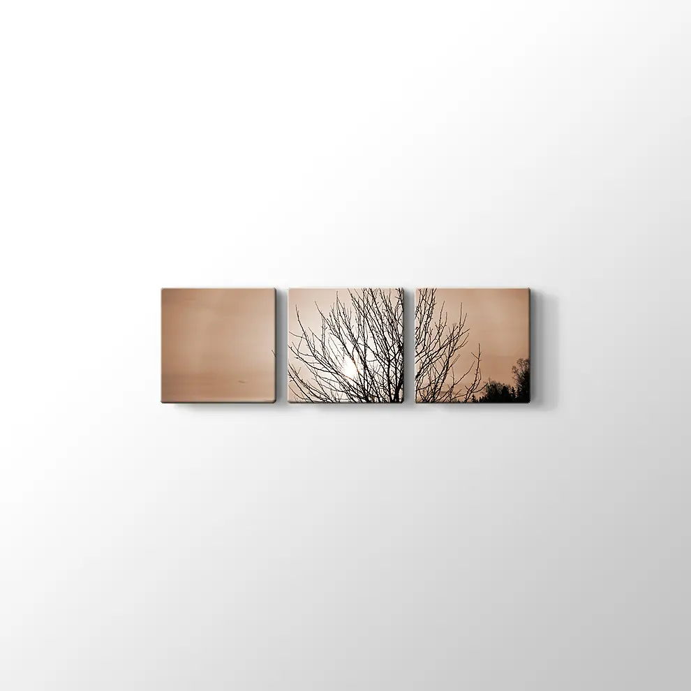 Finlandiya'da Kış Tablosu