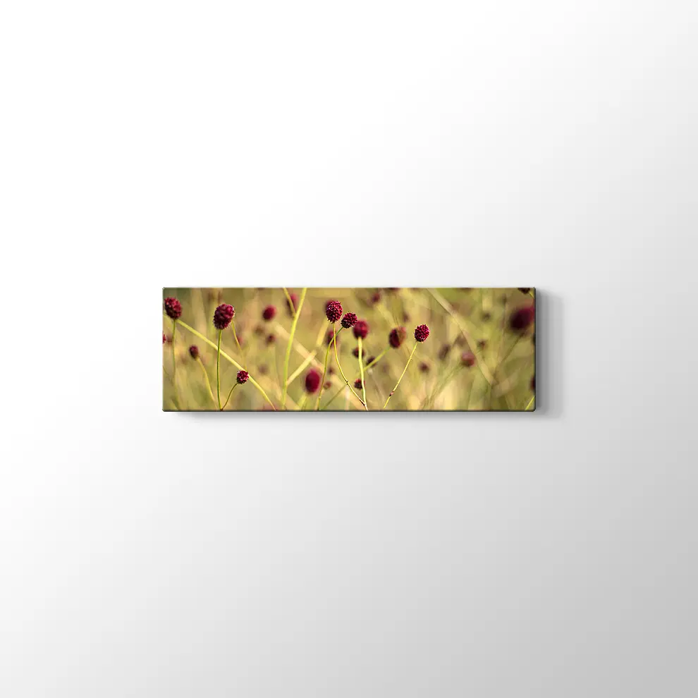 Büyük Burnet Kanvas Tablo