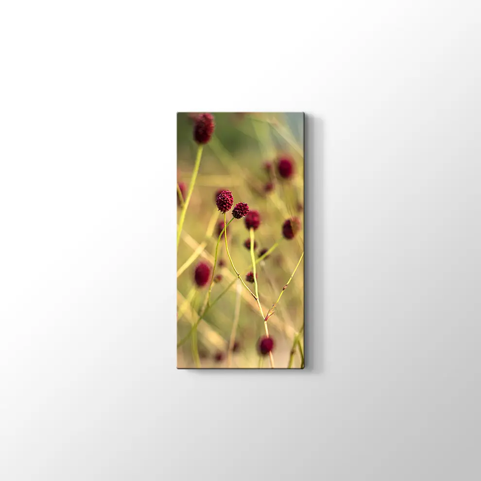 Büyük Burnet Kanvas Tablo