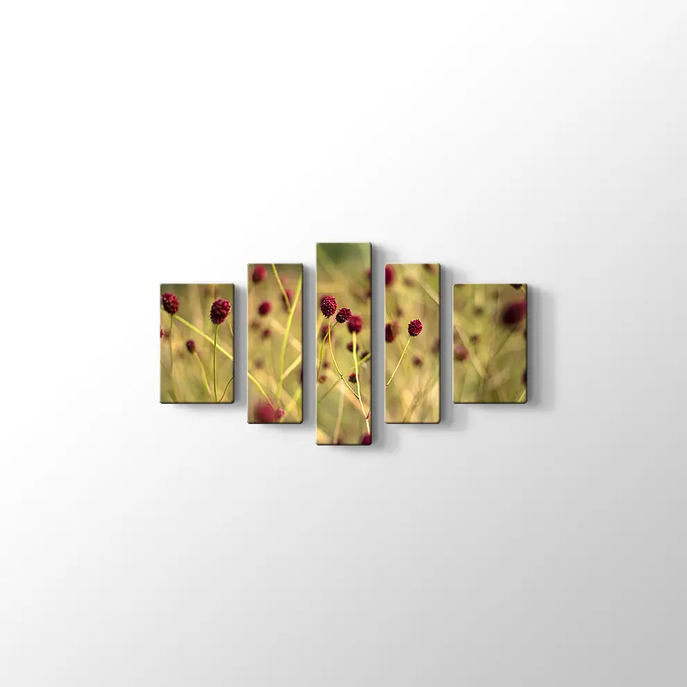 Büyük Burnet Kanvas Tablo