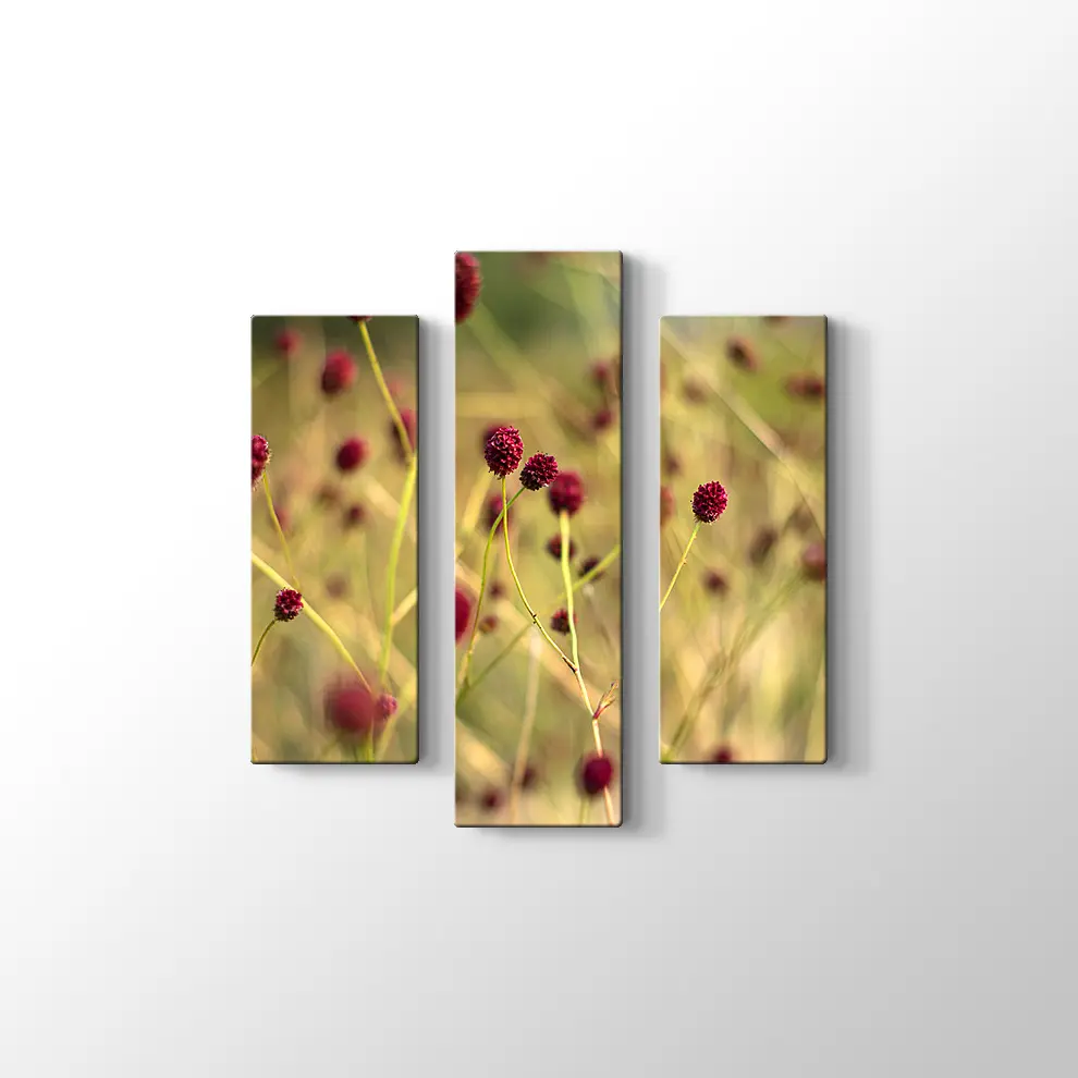 Büyük Burnet Kanvas Tablo