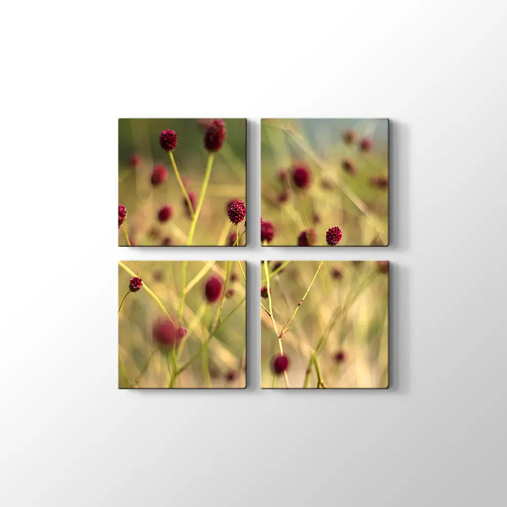 Büyük Burnet Kanvas Tablo