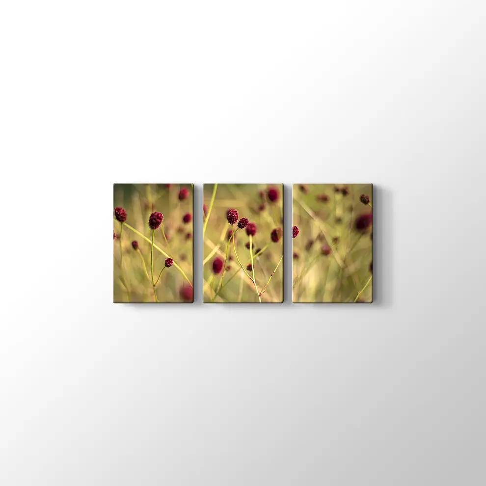 Büyük Burnet Kanvas Tablo