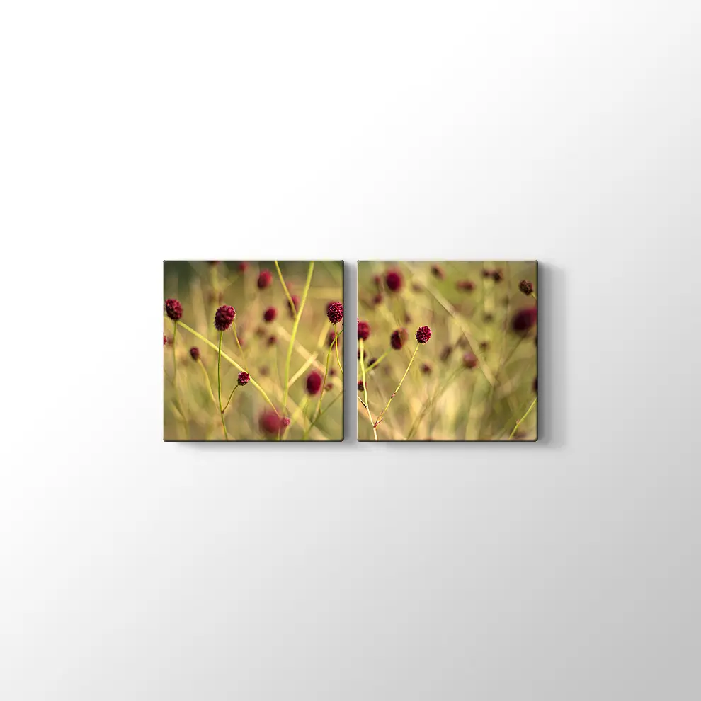 Büyük Burnet Kanvas Tablo