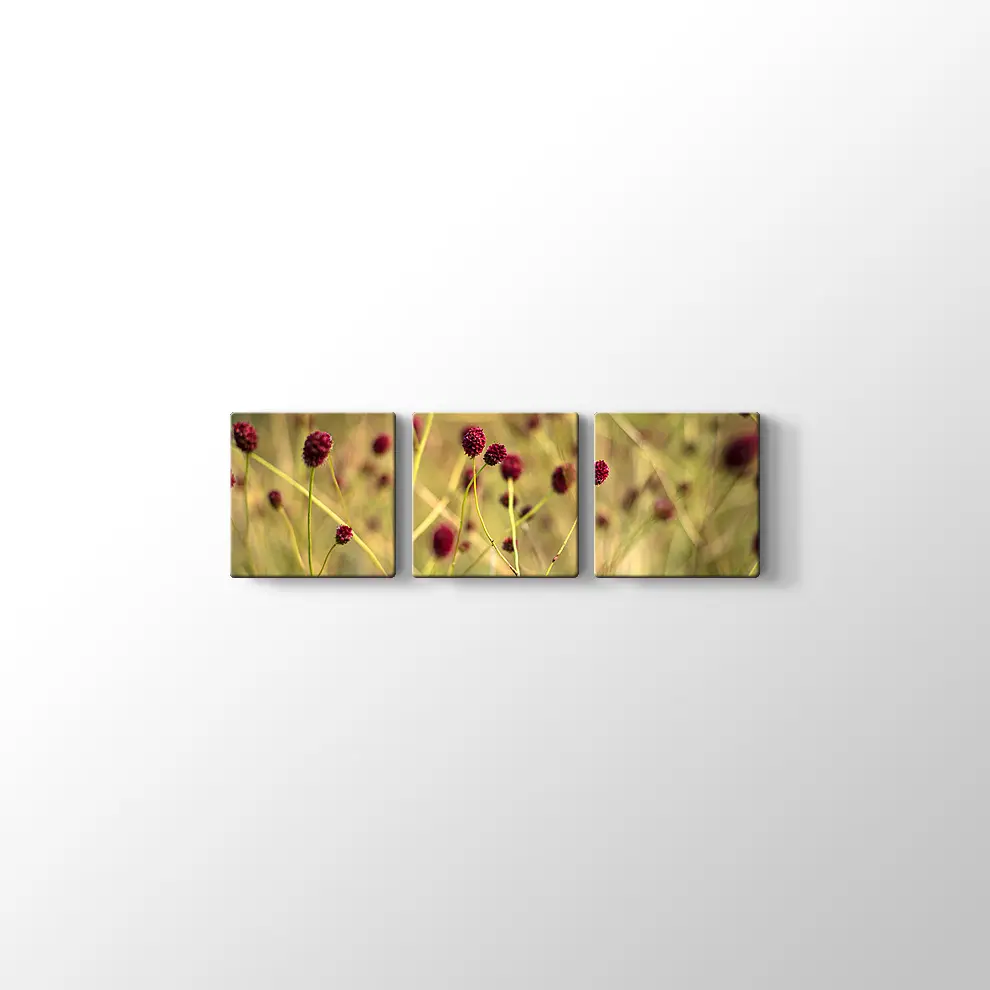 Büyük Burnet Kanvas Tablo