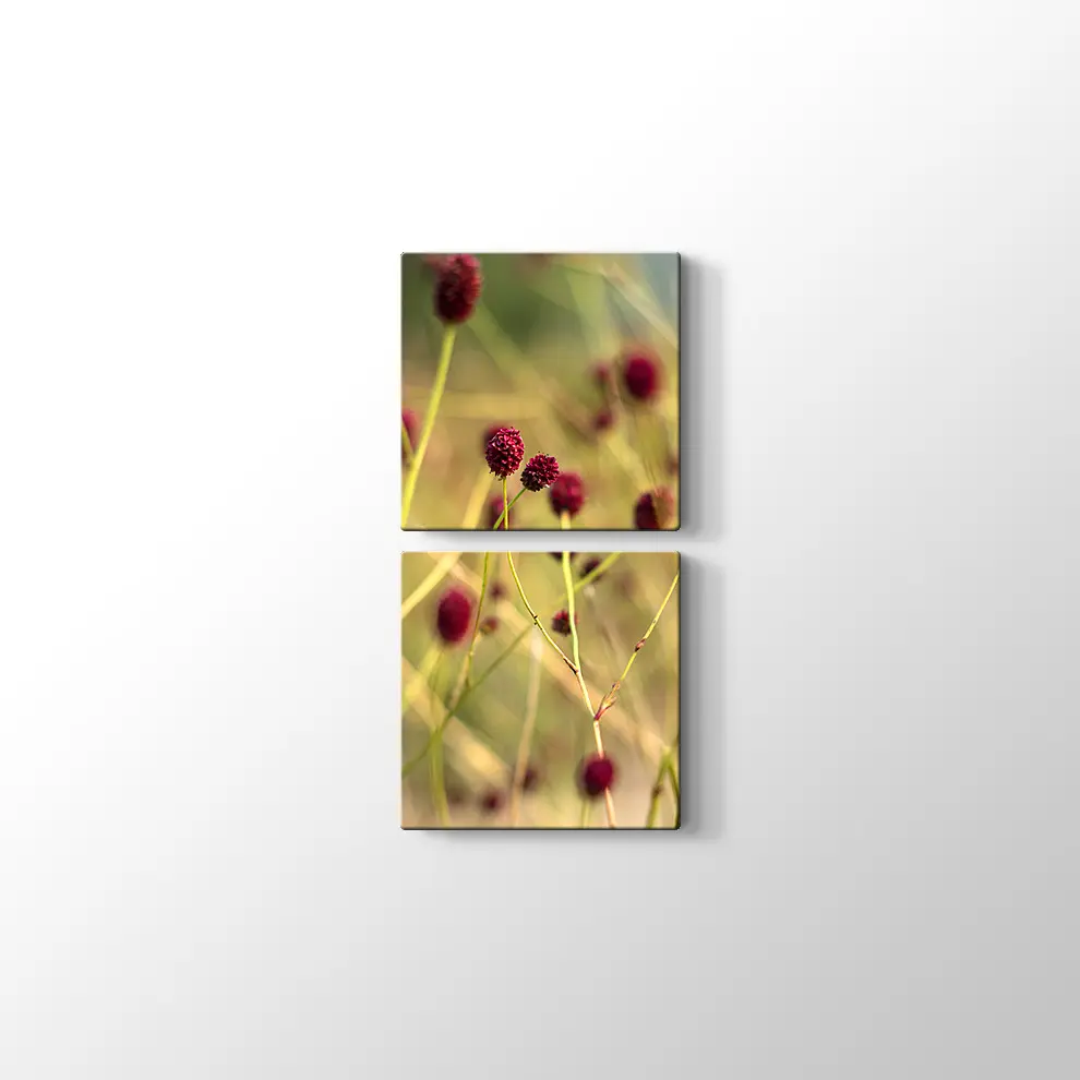 Büyük Burnet Kanvas Tablo