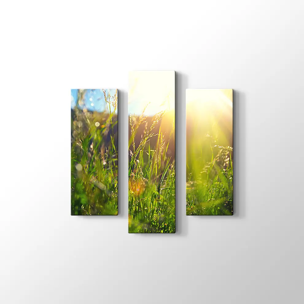 Çayırda Günışığı Kanvas Tablo