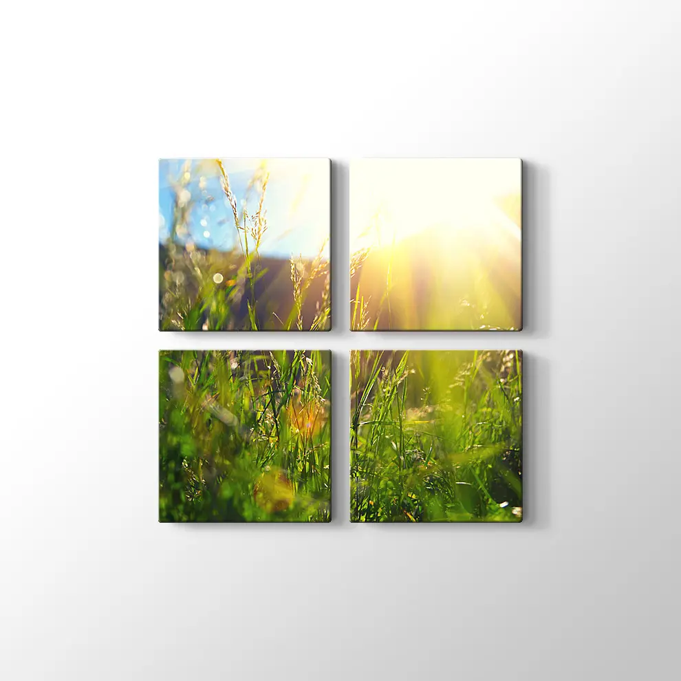 Çayırda Günışığı Kanvas Tablo