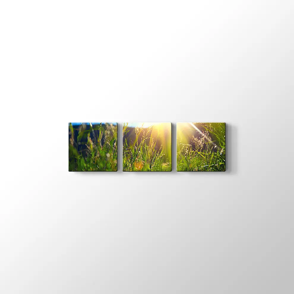 Çayırda Günışığı Kanvas Tablo