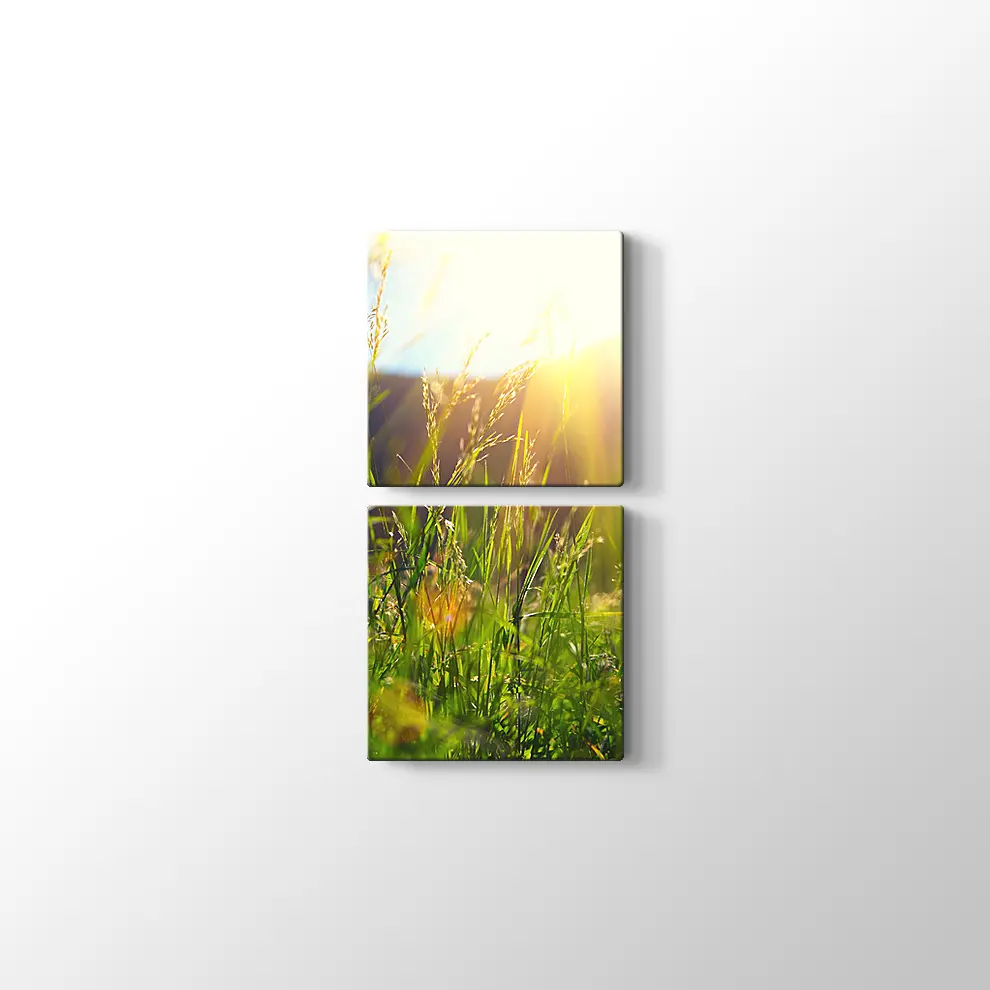 Çayırda Günışığı Kanvas Tablo