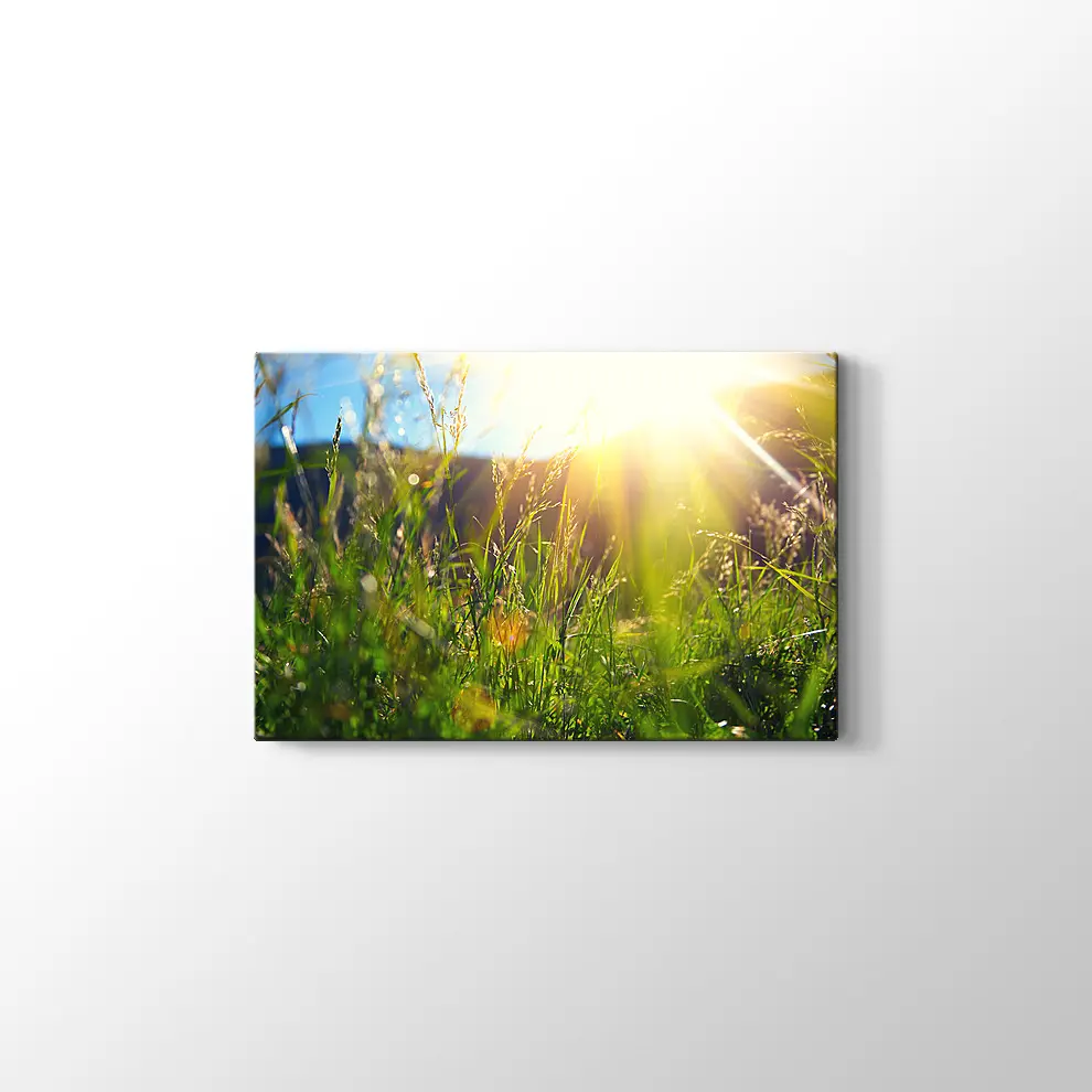 Çayırda Günışığı Kanvas Tablo