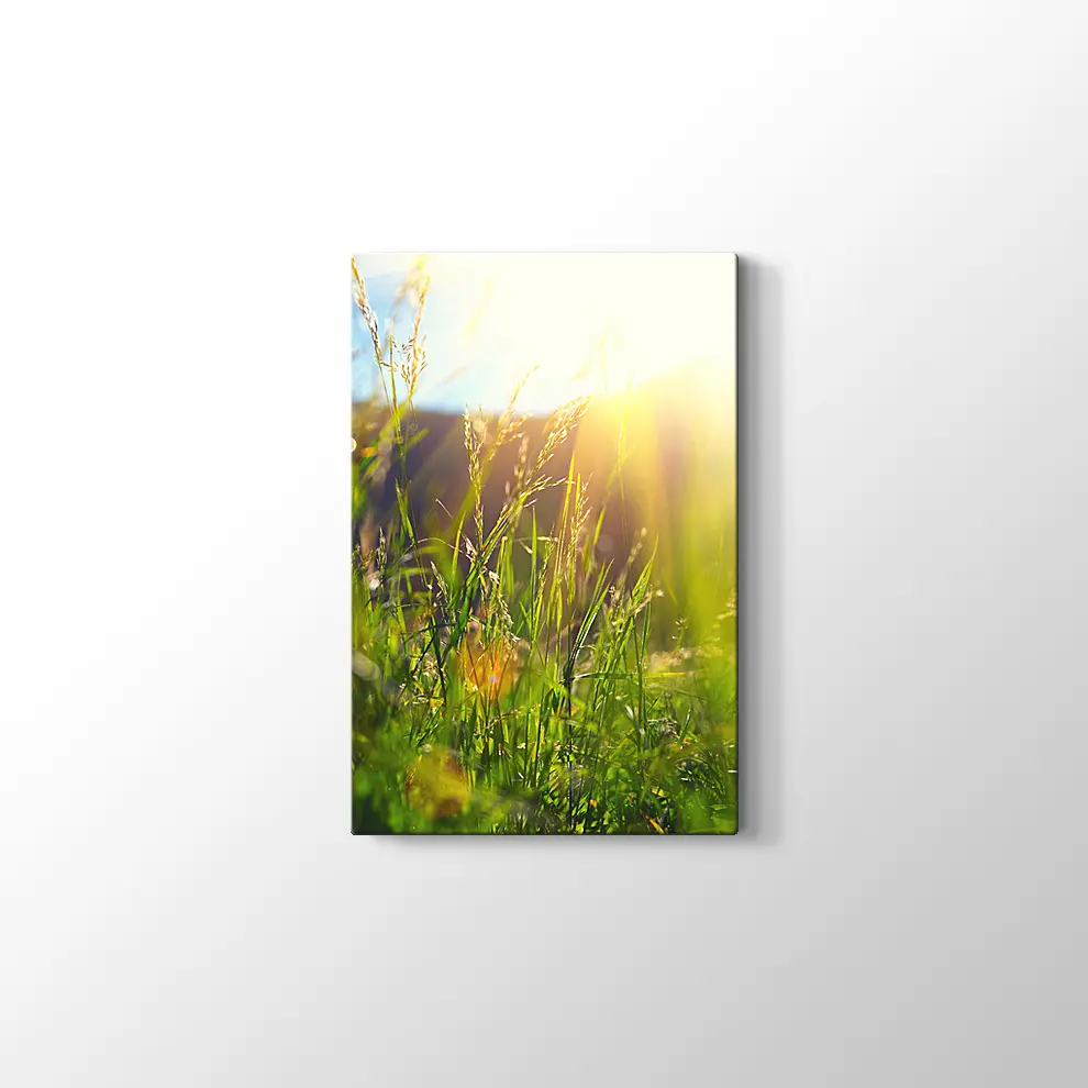 Çayırda Günışığı Kanvas Tablo