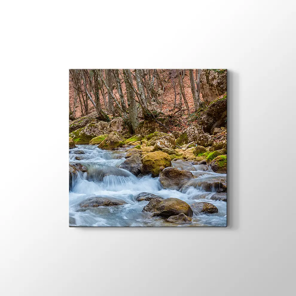 Kanyon Nehri Kanvas Tablo