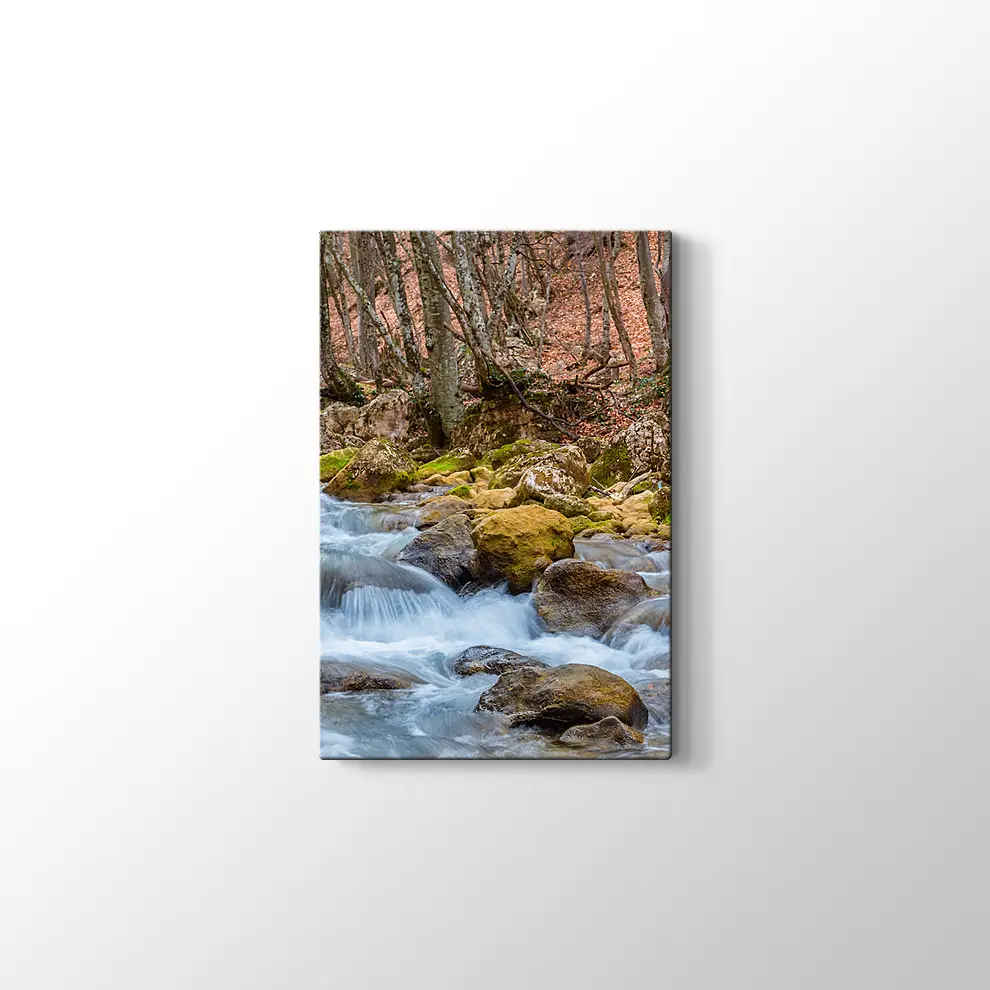 Kanyon Nehri Kanvas Tablo