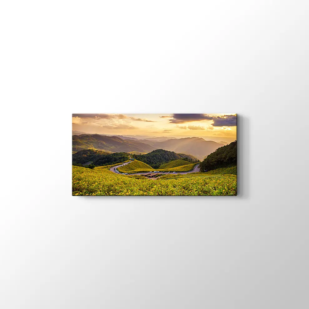 Meksika Ayçiçeği Tarlası Kanvas Tablo