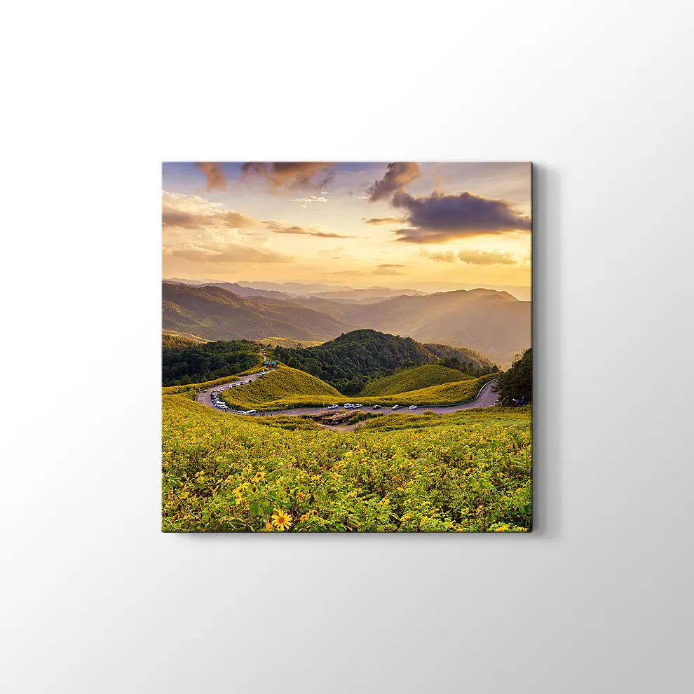 Meksika Ayçiçeği Tarlası Kanvas Tablo