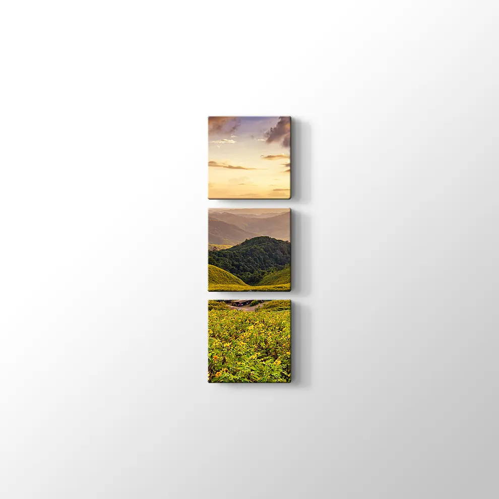 Meksika Ayçiçeği Tarlası Kanvas Tablo