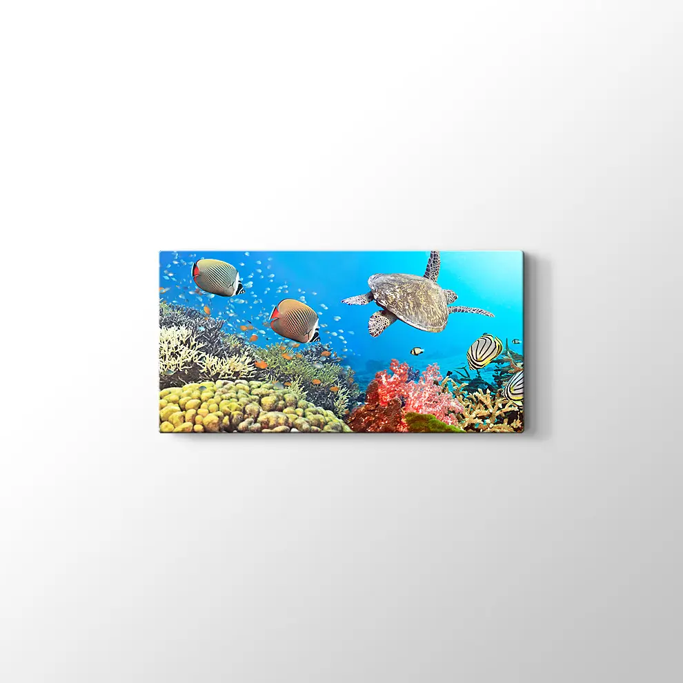Panaroma Su Altı Canlıları Kanvas Tablo
