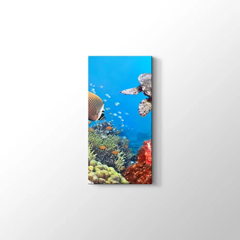 Panaroma Su Altı Canlıları Kanvas Tablo