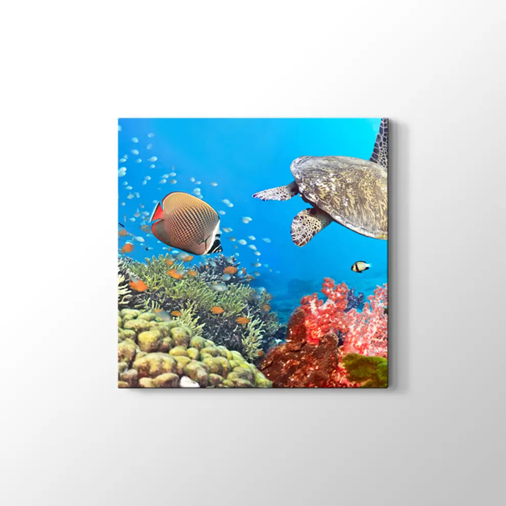 Panaroma Su Altı Canlıları Kanvas Tablo