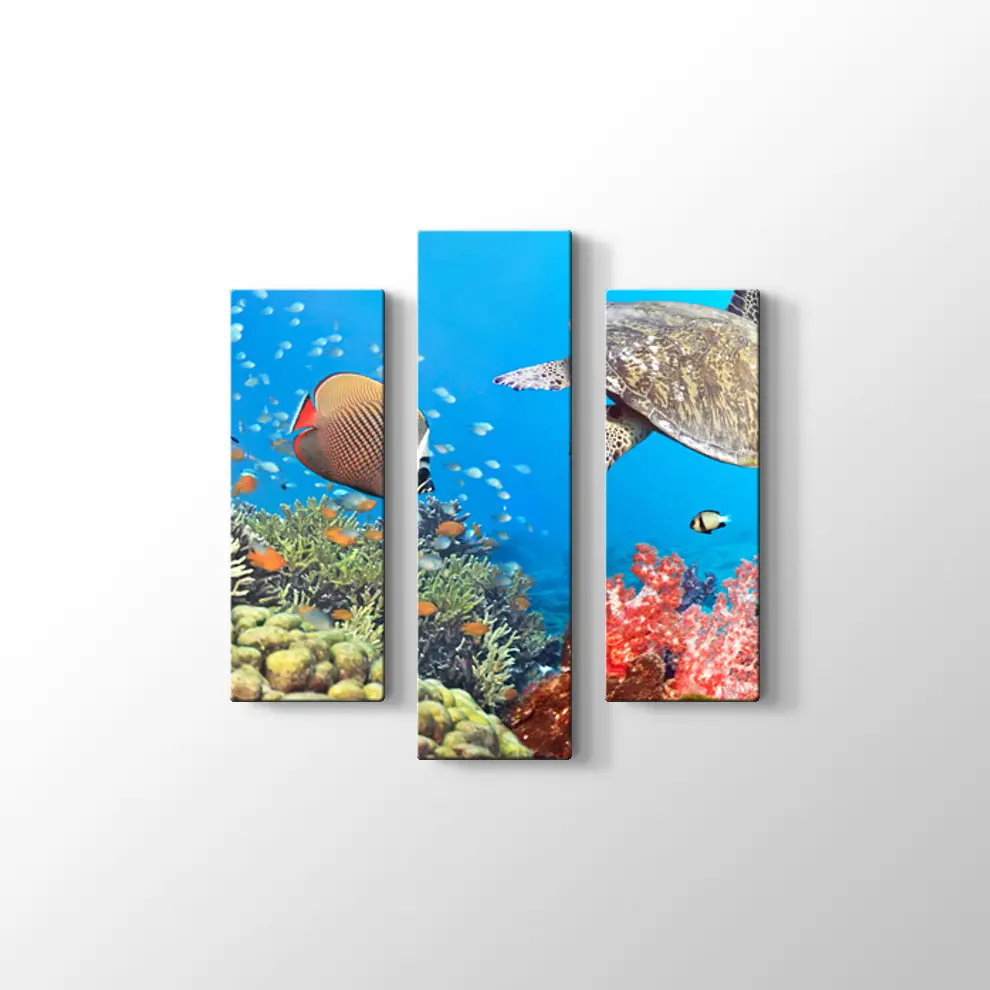 Panaroma Su Altı Canlıları Kanvas Tablo