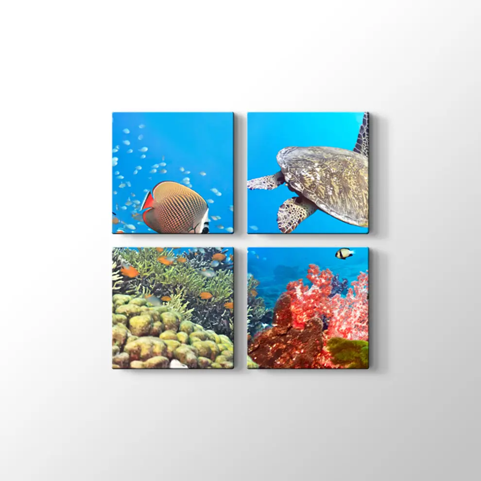 Panaroma Su Altı Canlıları Kanvas Tablo