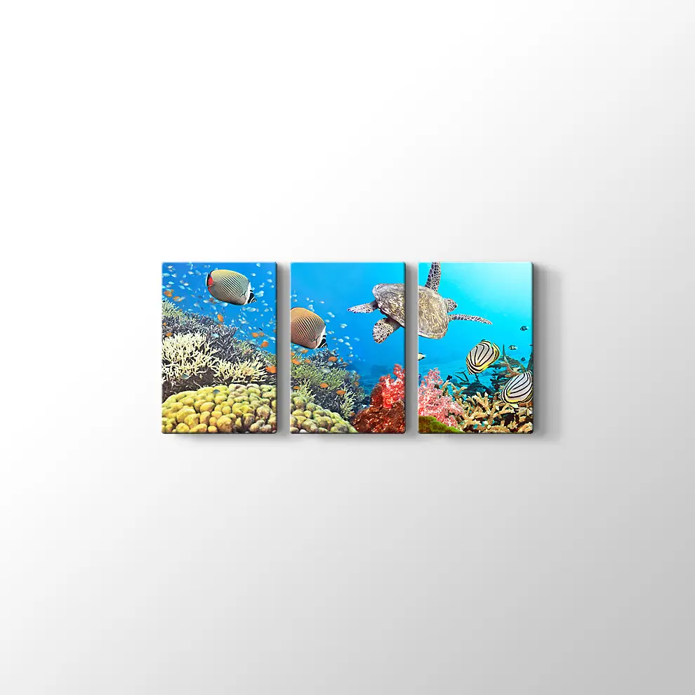 Panaroma Su Altı Canlıları Kanvas Tablo
