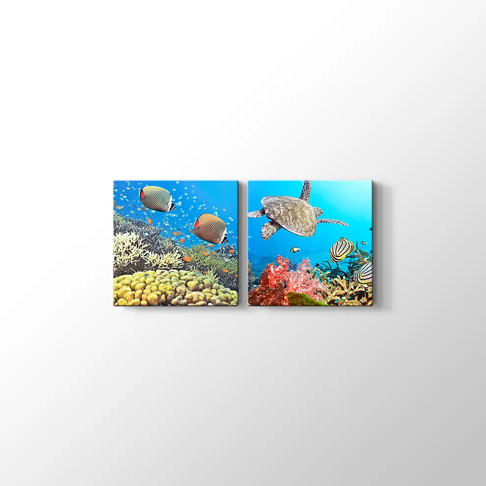 Panaroma Su Altı Canlıları Kanvas Tablo