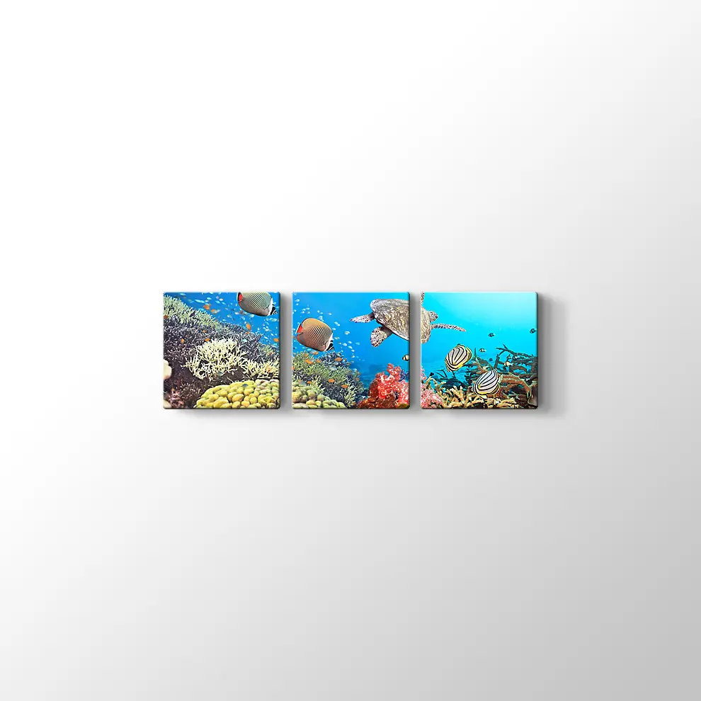 Panaroma Su Altı Canlıları Kanvas Tablo