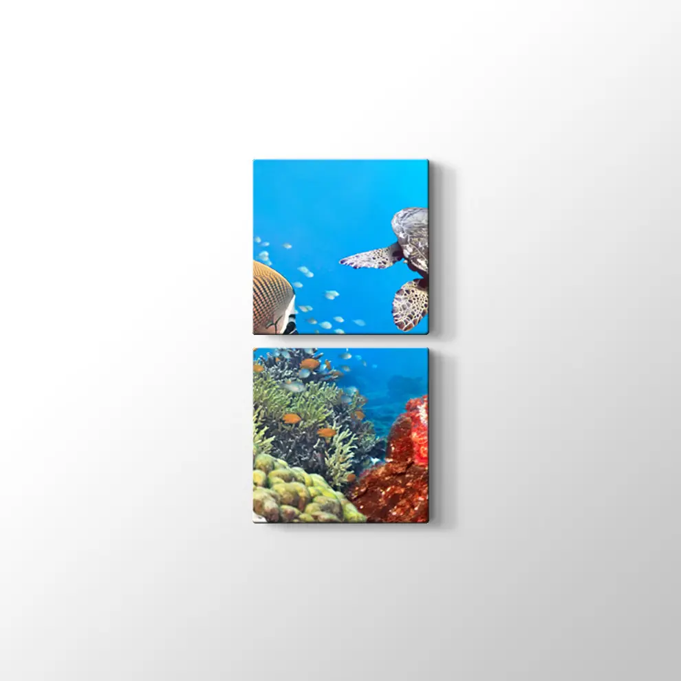 Panaroma Su Altı Canlıları Kanvas Tablo