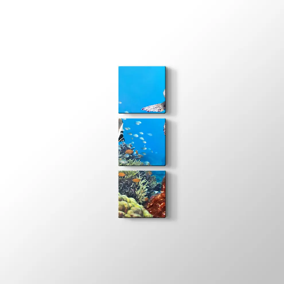 Panaroma Su Altı Canlıları Kanvas Tablo