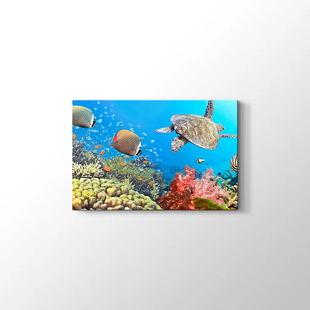 Panaroma Su Altı Canlıları Kanvas Tablo