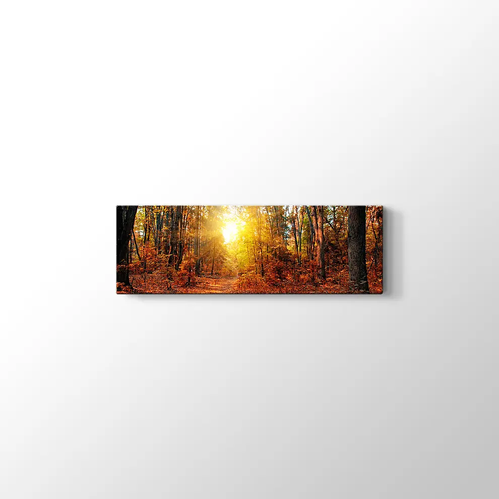 Sonbahar Güneşi ve Orman Kanvas Tablo