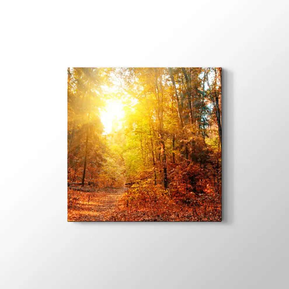 Sonbahar Güneşi ve Orman Kanvas Tablo