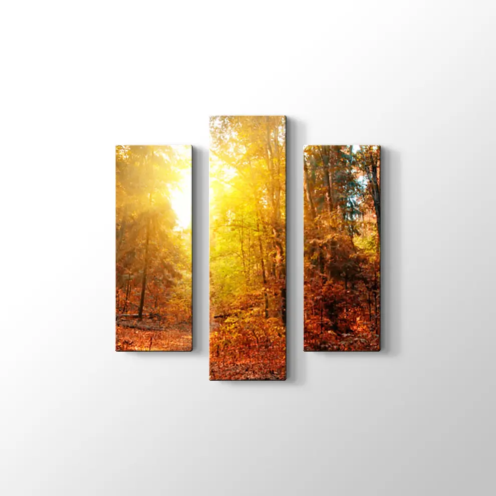 Sonbahar Güneşi ve Orman Kanvas Tablo