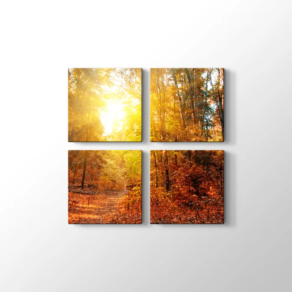 Sonbahar Güneşi ve Orman Kanvas Tablo