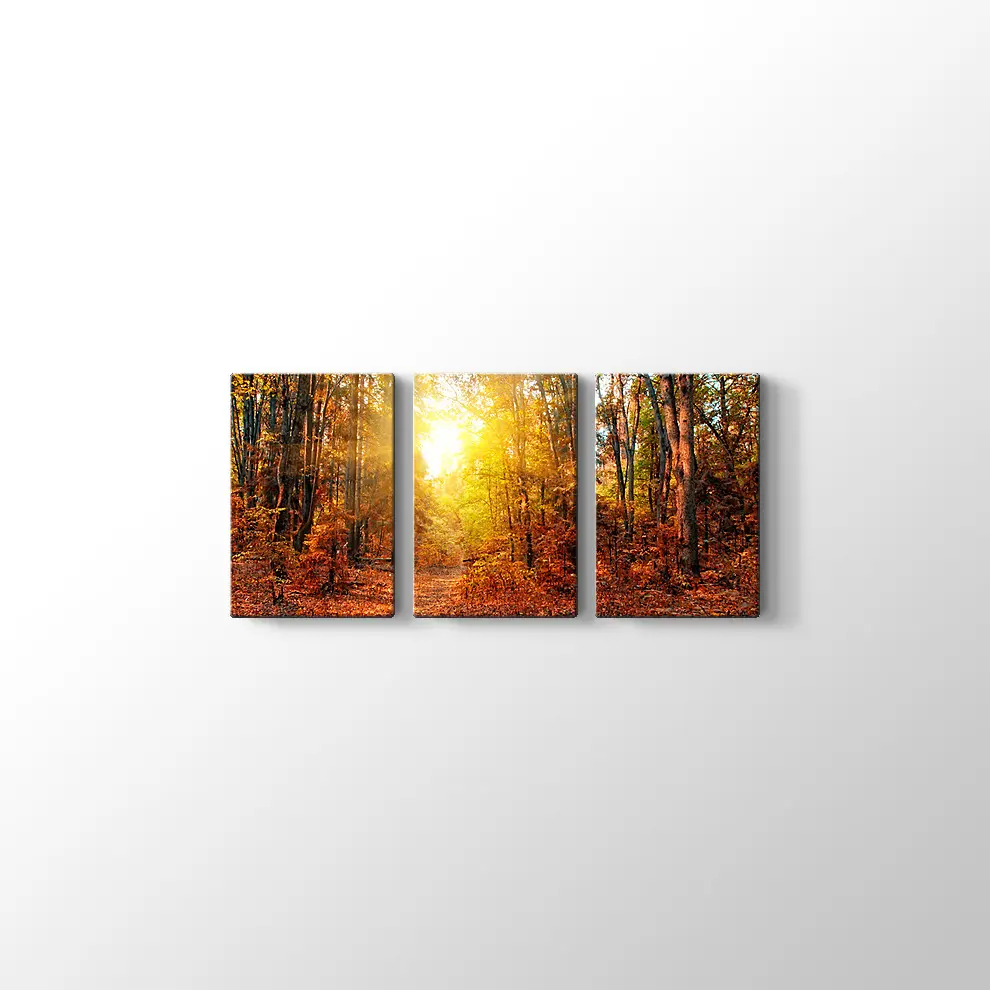 Sonbahar Güneşi ve Orman Kanvas Tablo
