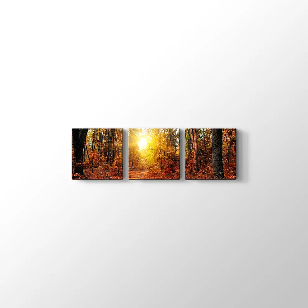 Sonbahar Güneşi ve Orman Kanvas Tablo