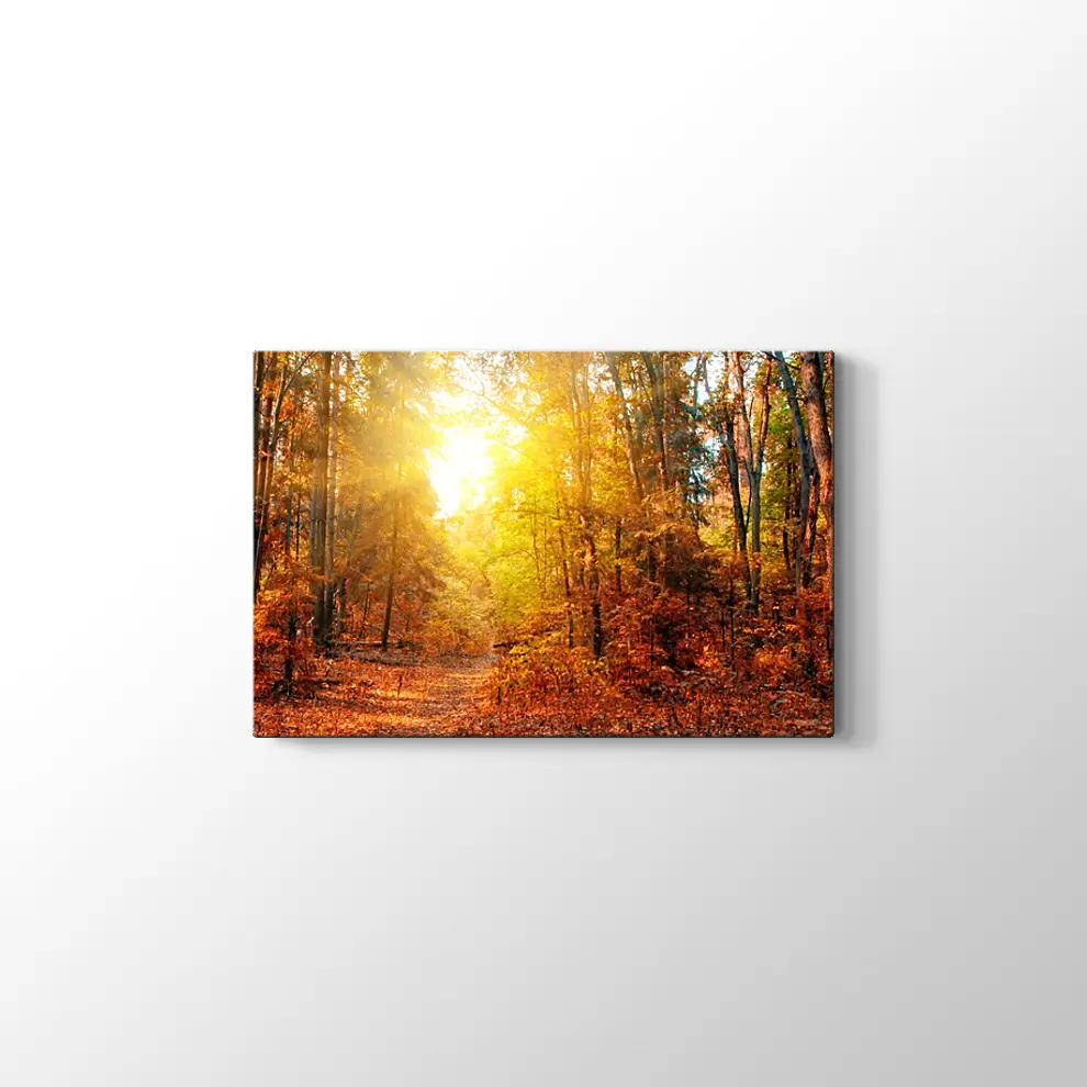 Sonbahar Güneşi ve Orman Kanvas Tablo